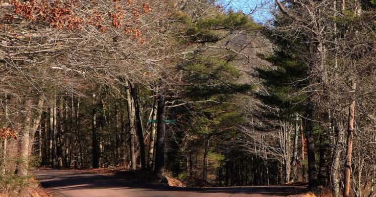 Two roads forking off in Luzerne County2C Pennsylvania