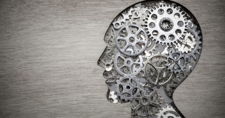brain vetre Shutterstock 779420179 0