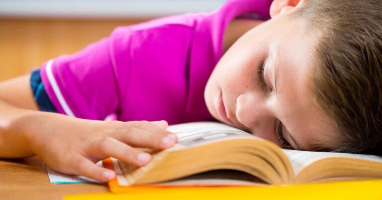 bigstock Tired Schoolboy Sleeping On Bo 780692002028229