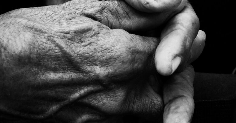 leandro callegari bQ0va2idpfY unsplash