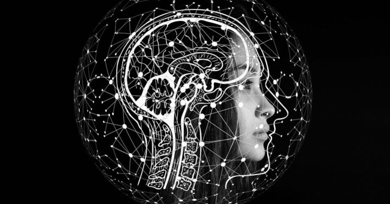 Brain20image20 20cover20image