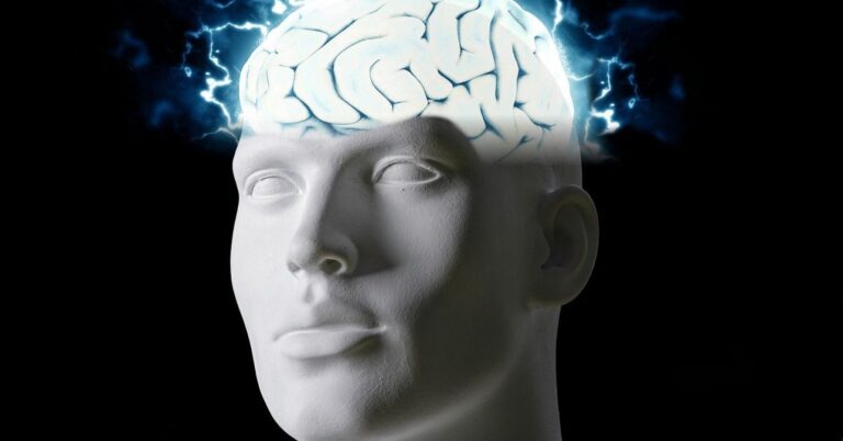 POINTER20brain 5885161 1280