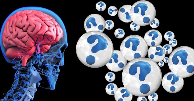 brain 2546101 1280